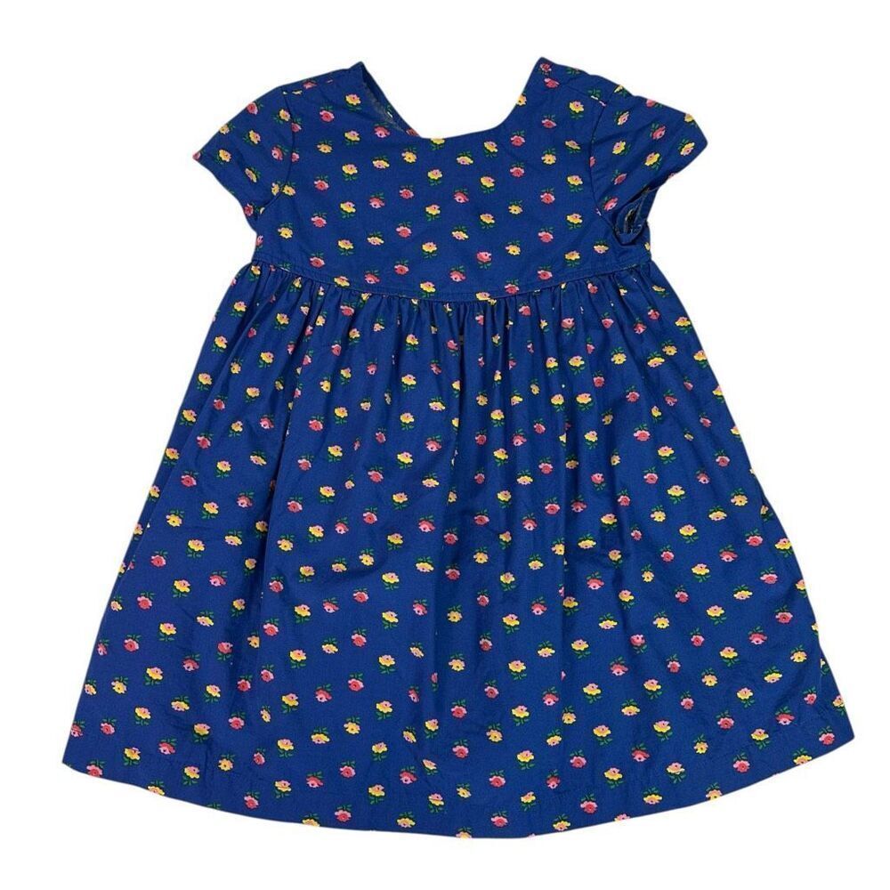 Hanna Andersson Girls Blue Meadow Dress Size 4